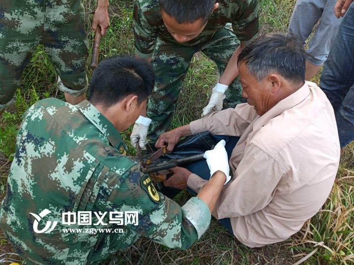 浙江野猪，生态繁荣与保护的双重挑战_科普问答