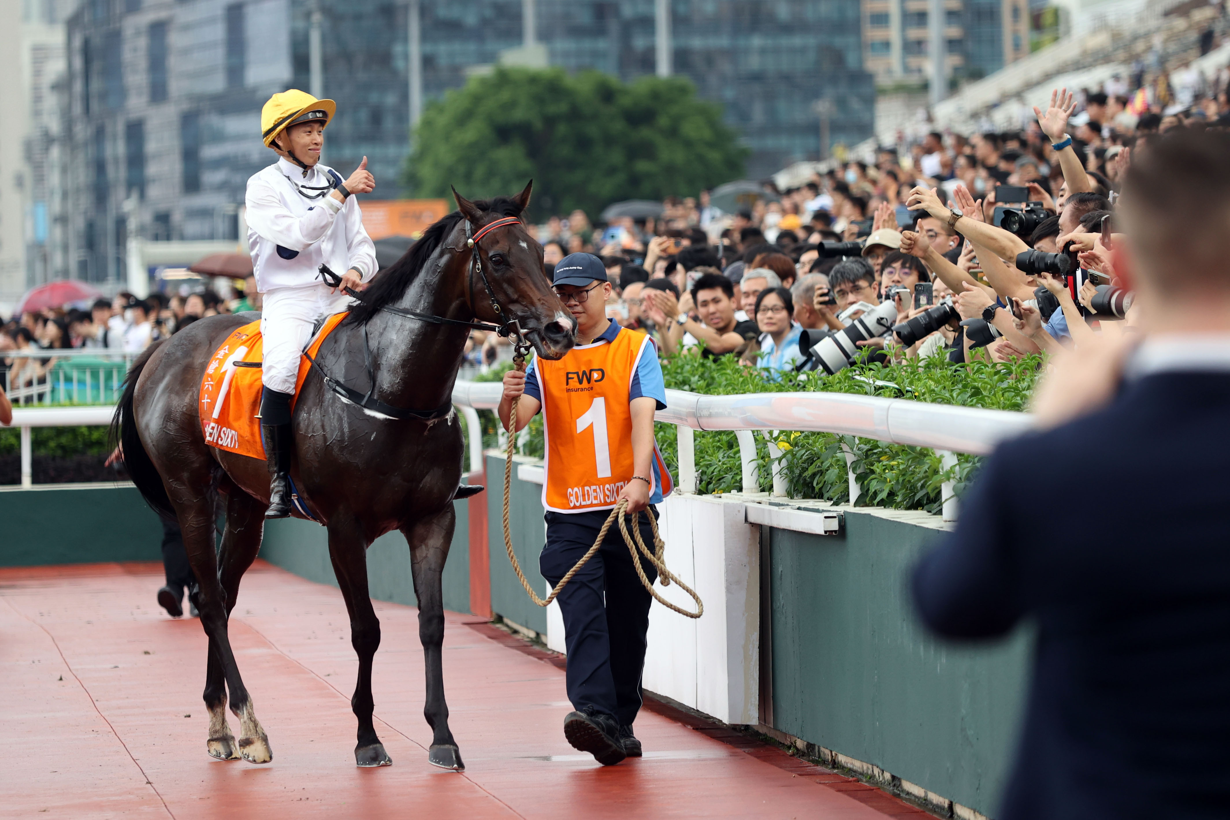 2024香港赛马全年免费资料,最佳精选落实_R版52.328