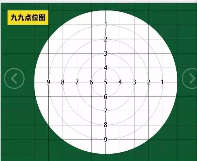 动态词语解释落实 第4页