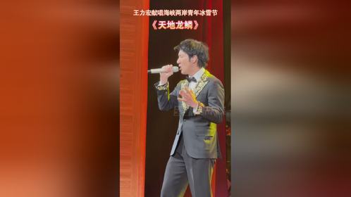 王力宏参演海峡两岸青年冰雪节——两岸文化交流的新里程碑_全面解答解释落实