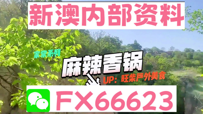 2024新澳最精准资料_5DM58.417——助你轻松掌握市场分析