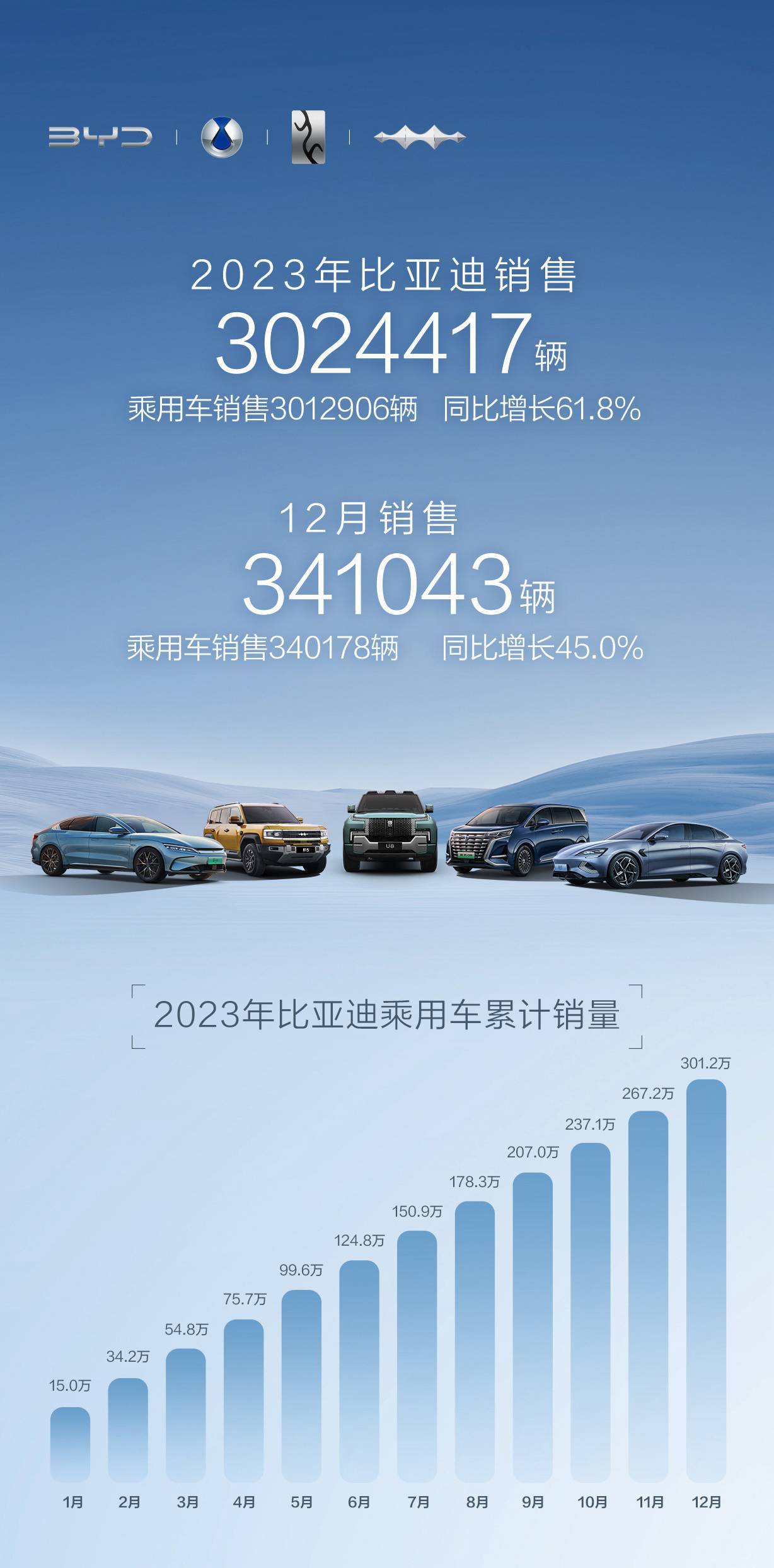 比亚迪的雄心壮志，2024年销量预测揭秘——揭秘背后的挑战与机遇