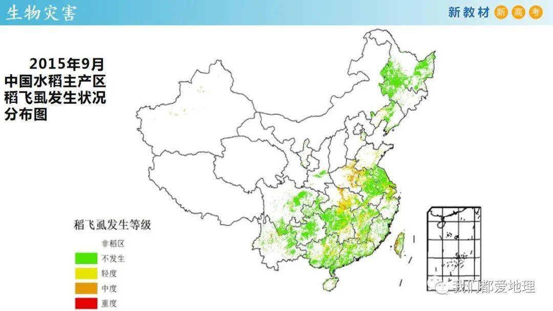 2025年1月2日 第11页