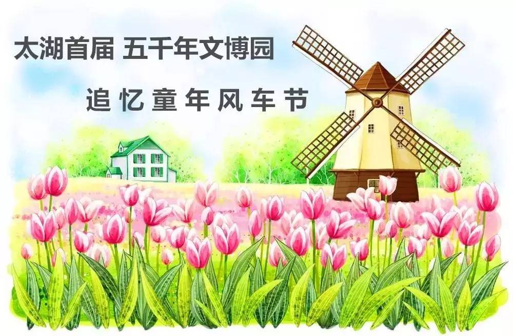 风中的花火，一场文字盛宴的全文免费阅读