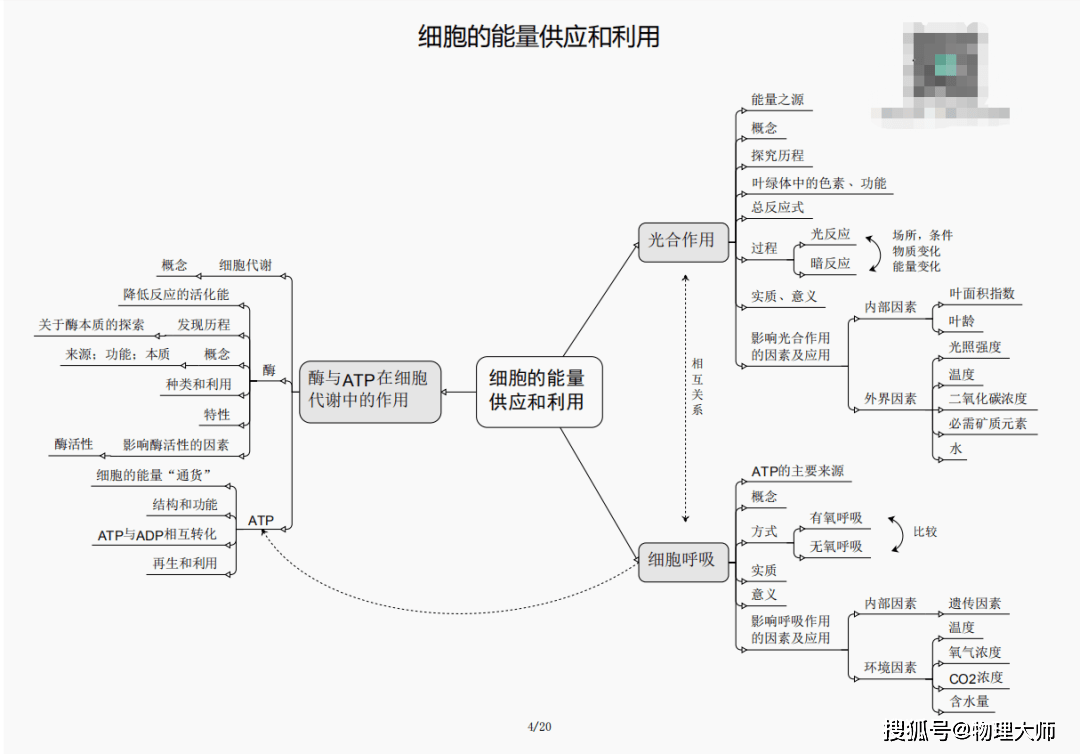 三肖三期必出特马预测方法_入门版97.706——词语解释