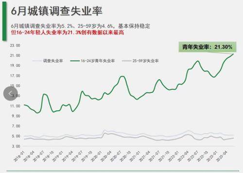 青春之困，聚焦十二月龄段劳动力的失业挑战——以16至24岁群体为例的失业现象分析