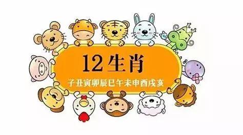 女子取8万8欲拜年发红包惊动民警，一场乌龙引发的深思