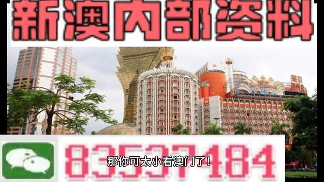 4949澳门精准免费大全2023精准落实,4949澳门精准免费大全2023_X版33.704