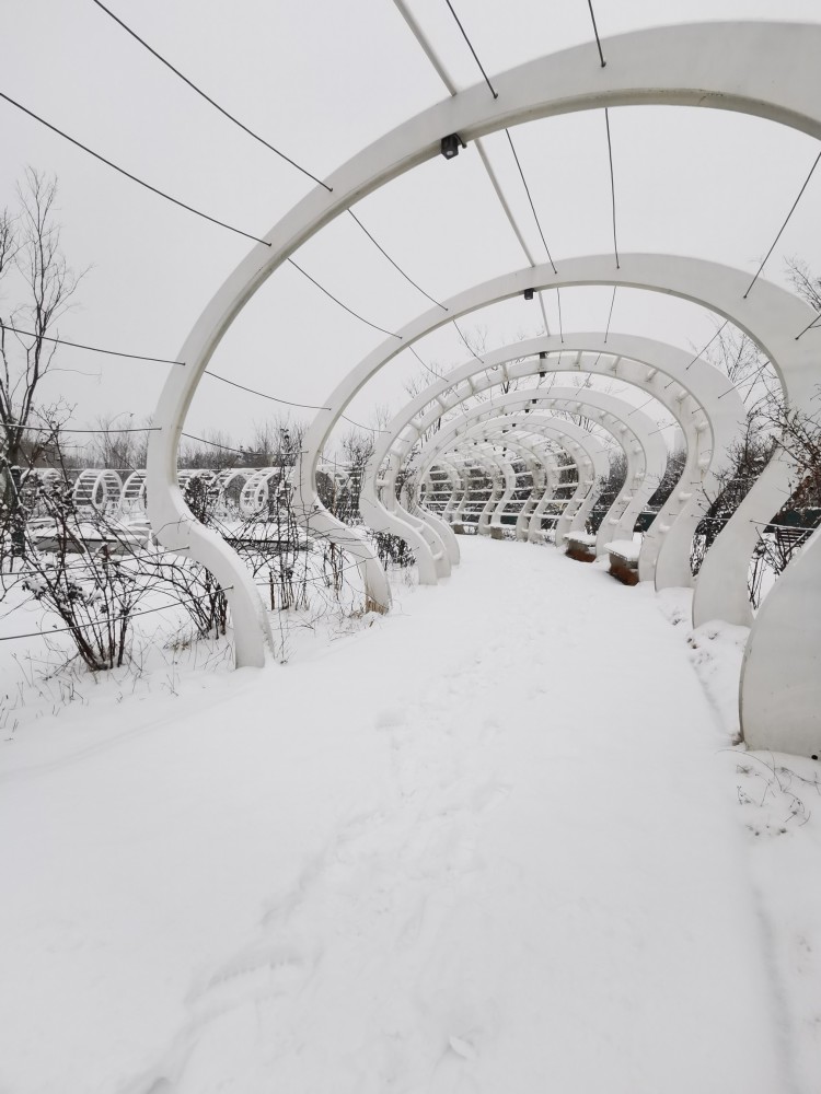 河南遭遇罕见积雪，深度超过20cm的冬季挑战