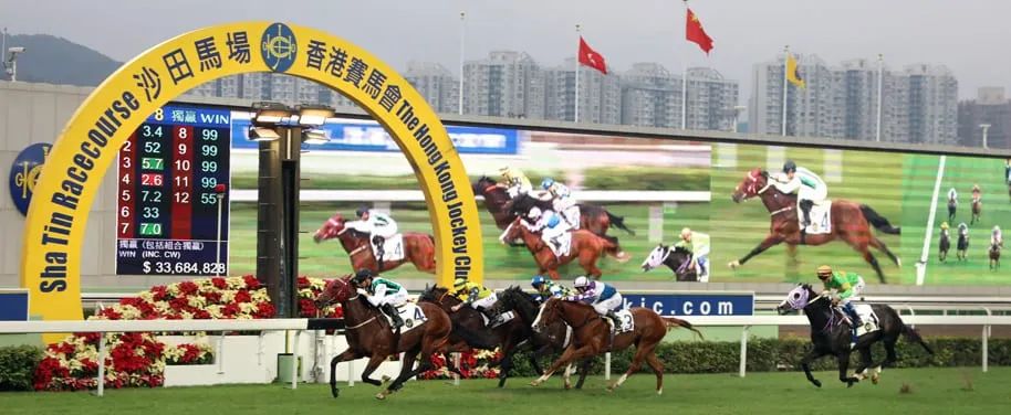 港澳马买马网站www全面解答落实,港澳马买马网站www_领航版30.138