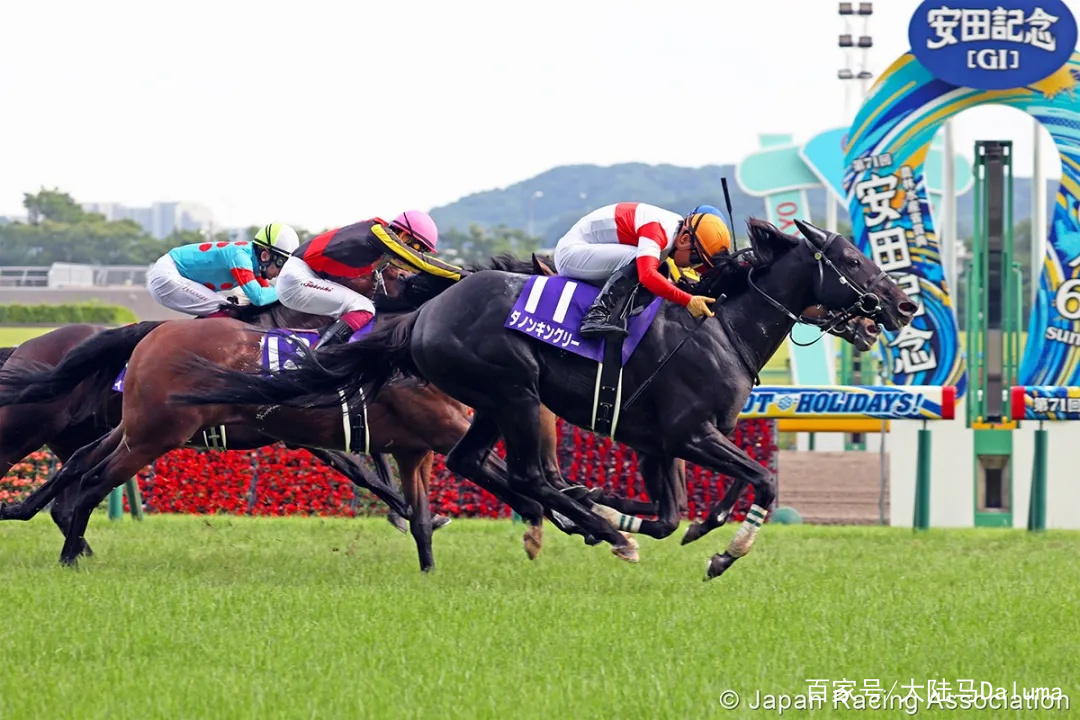 香港特马资料王中王反馈结果和分析,香港特马资料王中王_SHD13.629