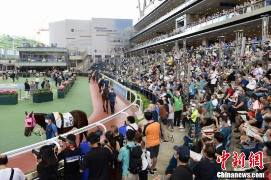 香港今晚开特马精准解释落实,香港今晚开特马_1440p55.225