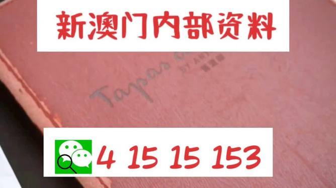 新澳门全年免费料精准资料解释,新澳门全年免费料精准_XT63.561