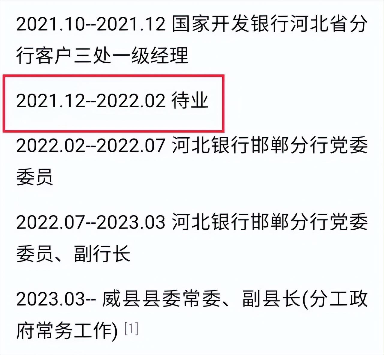 震惊！90后银行新星闪耀政界之路，官方揭晓副县长晋升真相！