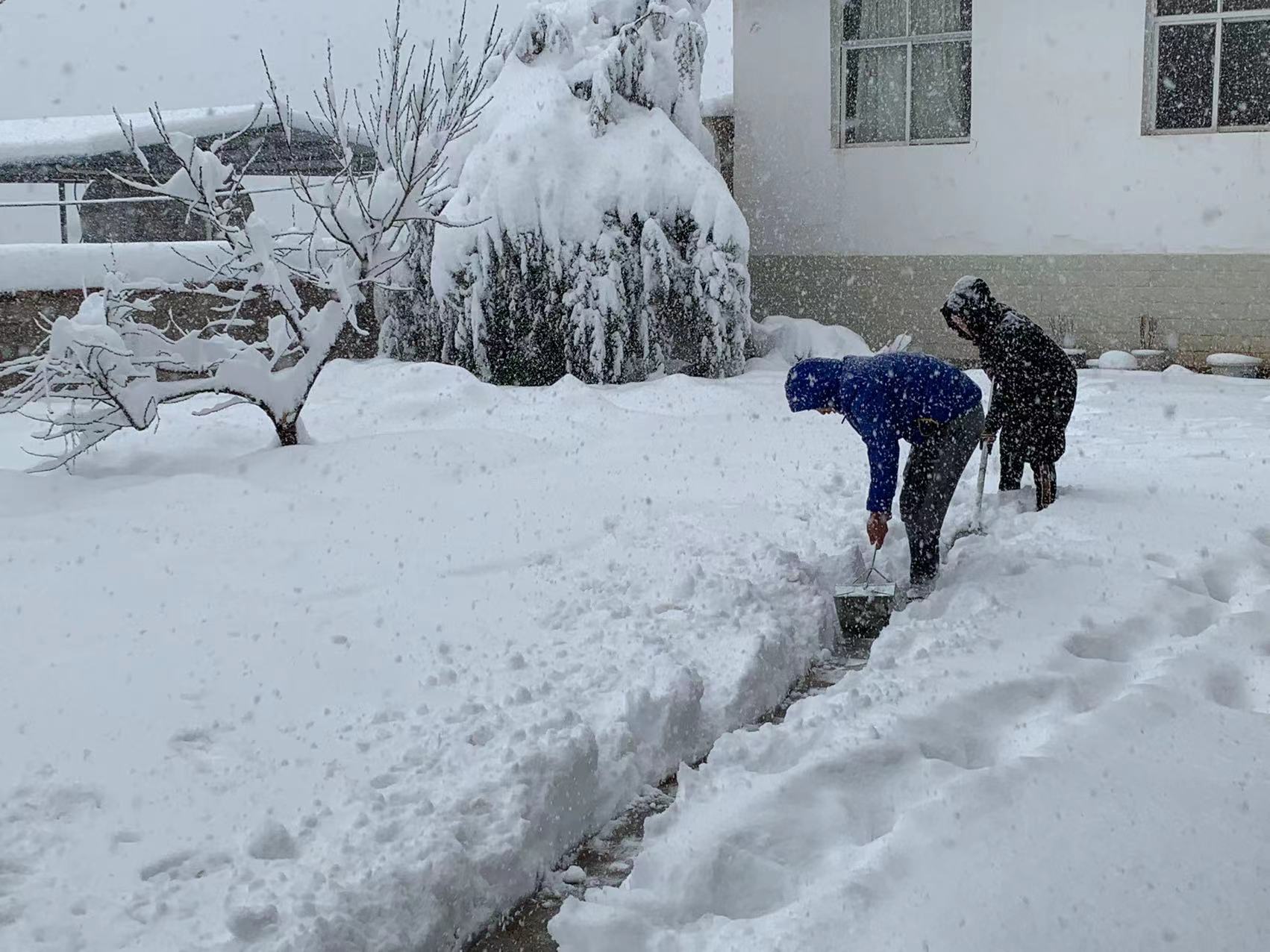 心碎！哈尔滨网红大雪人竟在夜幕中悄然拆除，背后真相令人震惊！