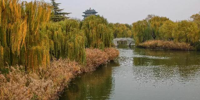 雪后的济南如仙境！你绝对想不到这些美景会在这里等着你！