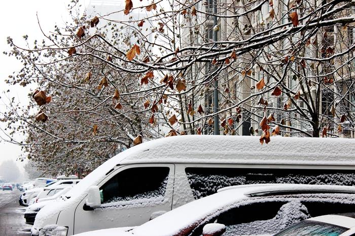 惊！北京突降大雪，背后真相令人震惊！